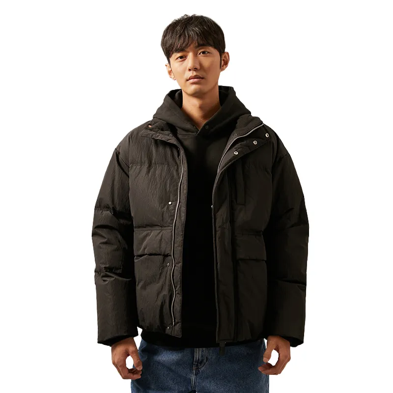Calvin Klein Down Jackets Men's Stand Collar Moderate