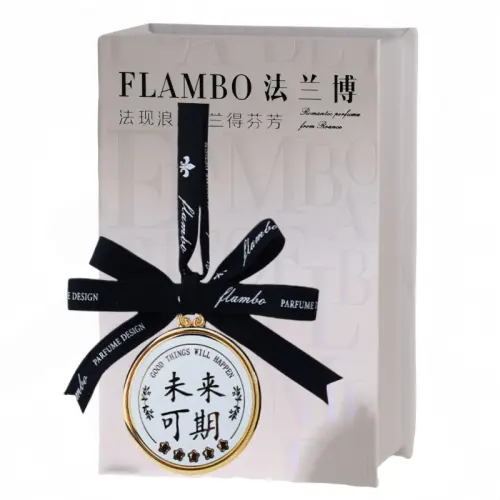 Protective amulet, rear view mirror for auto, accessory, perfume, universal aromatherapy, metal gift box, high-quality style