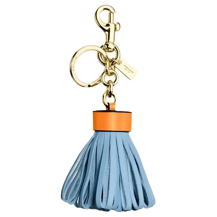 COACH Leather Bag Accessory Women's Blue