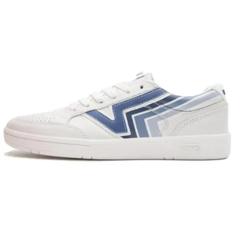 Vans Lowland CC Low top Skateboard Shoes Unisex White Blue