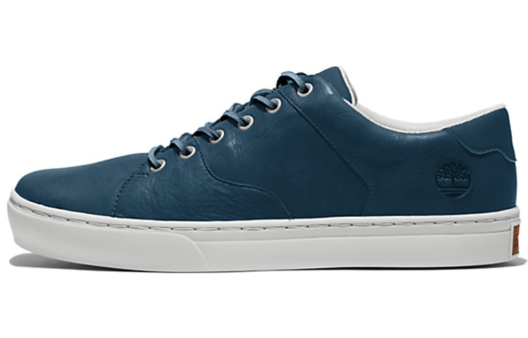 Timberland Adventure Skateboard Shoes Men's Low Top Blue