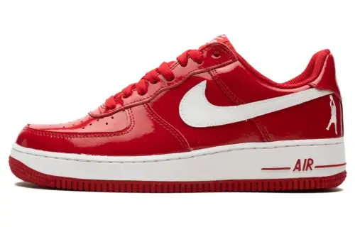 Nike Air Force 1 Sheed Low 'Sheed'
