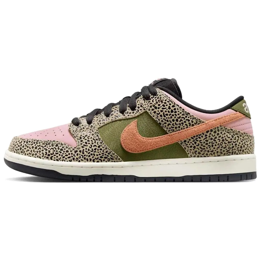 Nike Sb Dunk Low Arts Rec