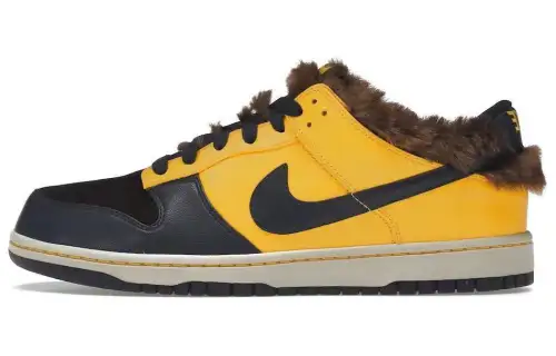 Nike Dunk Low Teen Wolf