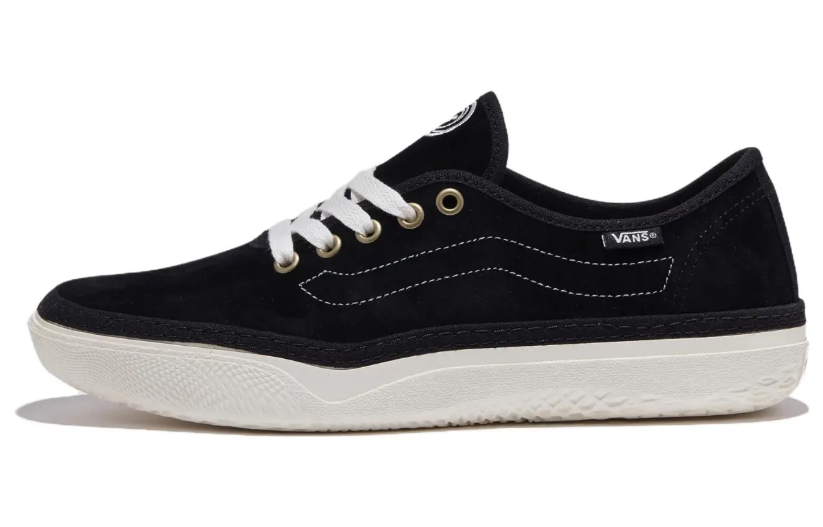 Vans SE Low top Skateboard Shoes Unisex Black