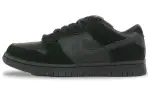 Nike Sb Dunk Low Gino Iannucci 2