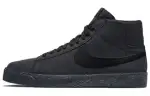 Nike Sb Blazer Passport