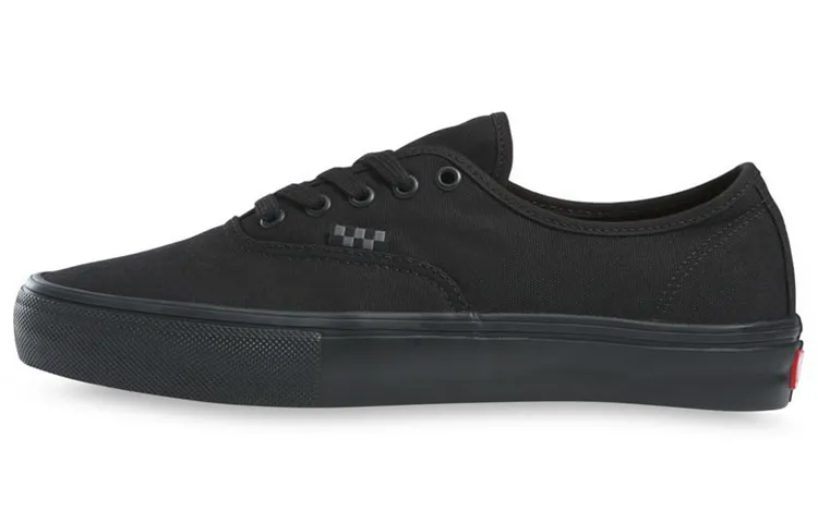 Authentic Skate Vans 'Triple Black'