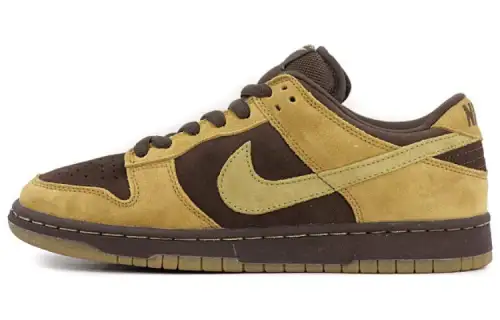 Nike Sb Dunk Low Brown Pack