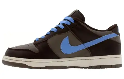 Nike Dunk Low Premium Comfortable Round Toe Thermal Slip Resistant Low top Skateboard Shoes Unisex Black