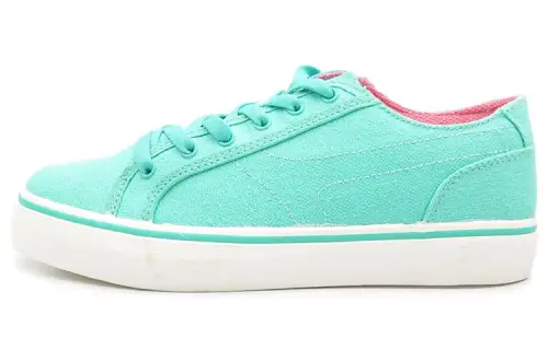Li Ning Skateboard Shoes Women's Low Top Blue