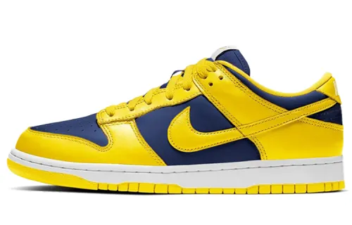 Nike Dunk Retro 'Michigan' Synthetic Leather Slip Resistant Abrasion Resistant Low top Skateboard Shoes Men's