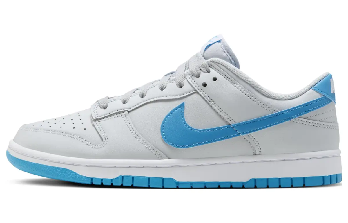 Nike Dunk Low top Skateboard Shoes Men's Blue Gray
