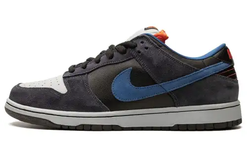 Nike Sb Dunk Low Patagonia