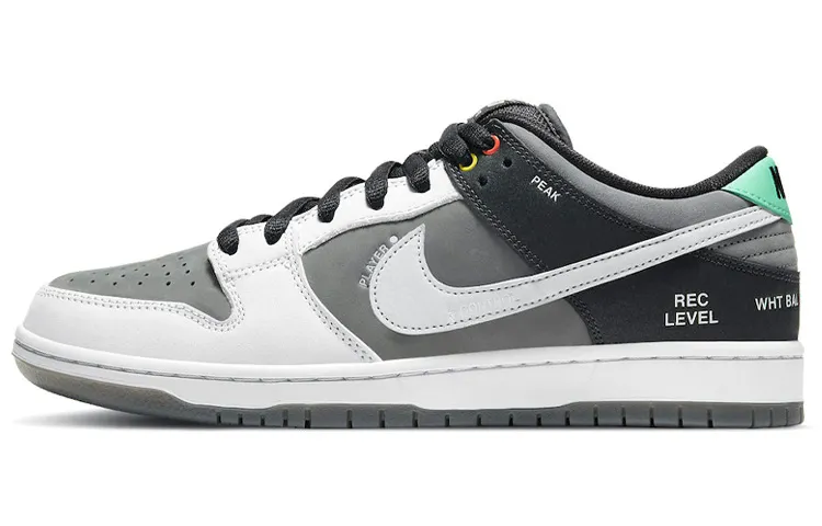 Nike Sb Dunk Low 'Camcorder'