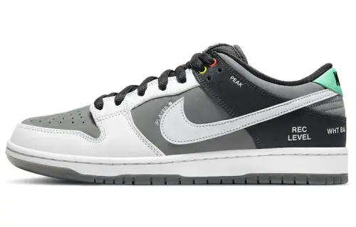 Nike Sb Dunk Low 'Camcorder'