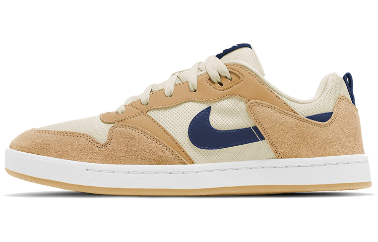 Мужские кеды Nike Nike SB Alleyoop Club (коричнево-сине-белые)
