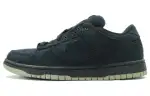 Nike Dunk SB Skateboarding Shoes Men