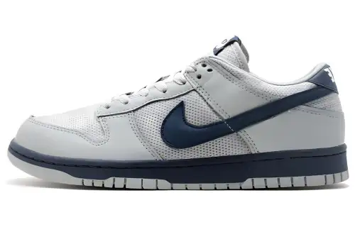 Nike Dunk Low Silver Surfer 2