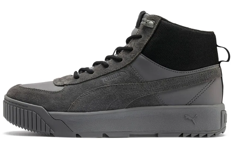 PUMA Tarrenz Sb Sneakers Grey