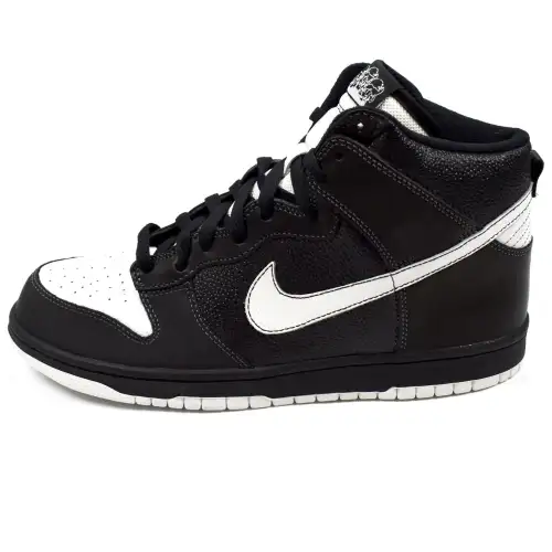 Nike Dunk High Nort