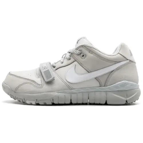 Nike Trainer Dunk Low Neutral Grey
