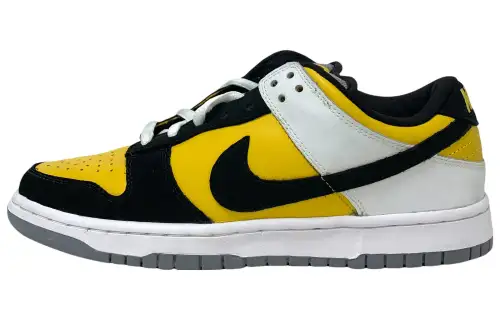 Nike Sb Dunk Low Bic