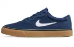 Nike Sb Chron 2 'Blue White'