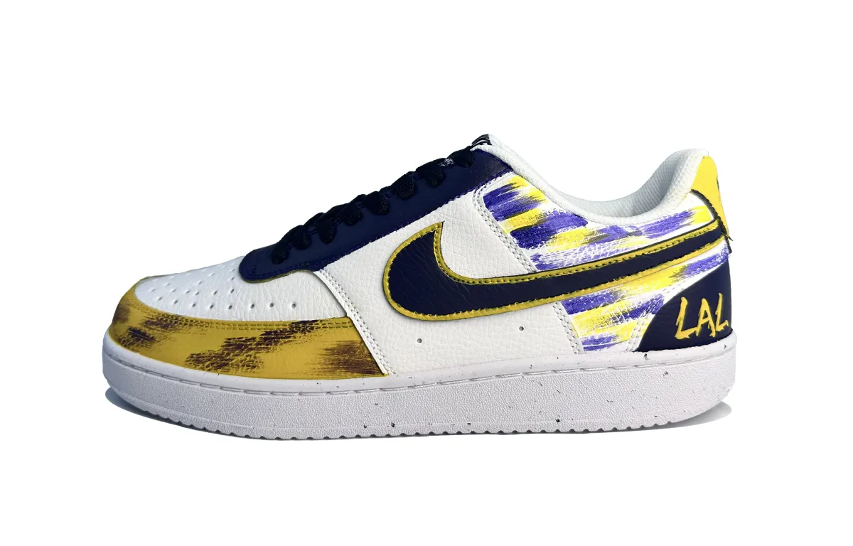 Nike Court Vision 1 Abrasion Resistant Low top Skateboard Shoes Men's Purple Blue