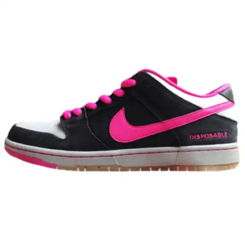 Nike SB Dunk Low Disposable