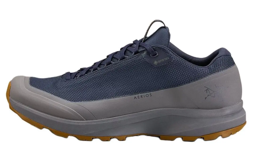 Arc'teryx Aerios Fl 2 Mesh Waterproof Low top Hiking Shoes Men's Blue