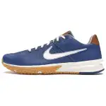 Nike Alpha Huarache Turf 2 Baseballism Flag Man Pro Blue