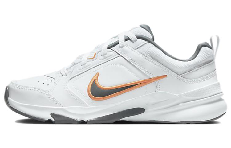 Мужские кроссовки Nike Nike Defy All Day (белые)