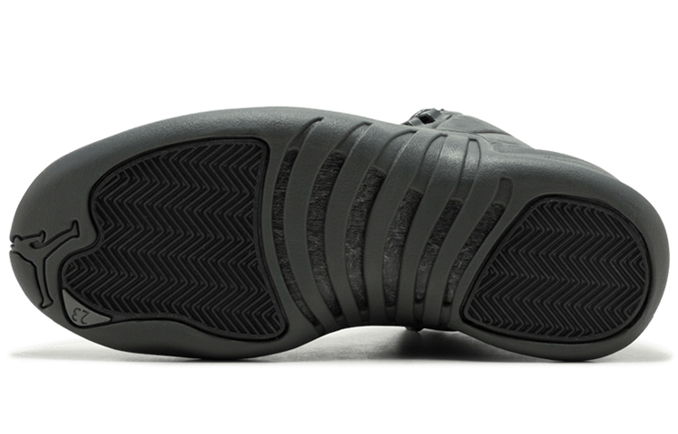 Jordan 12 Retro Psny