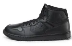 Air Jordan Access 'Triple Black'