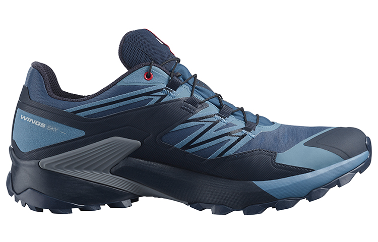 SALOMON Wings Sky Gtx / L00