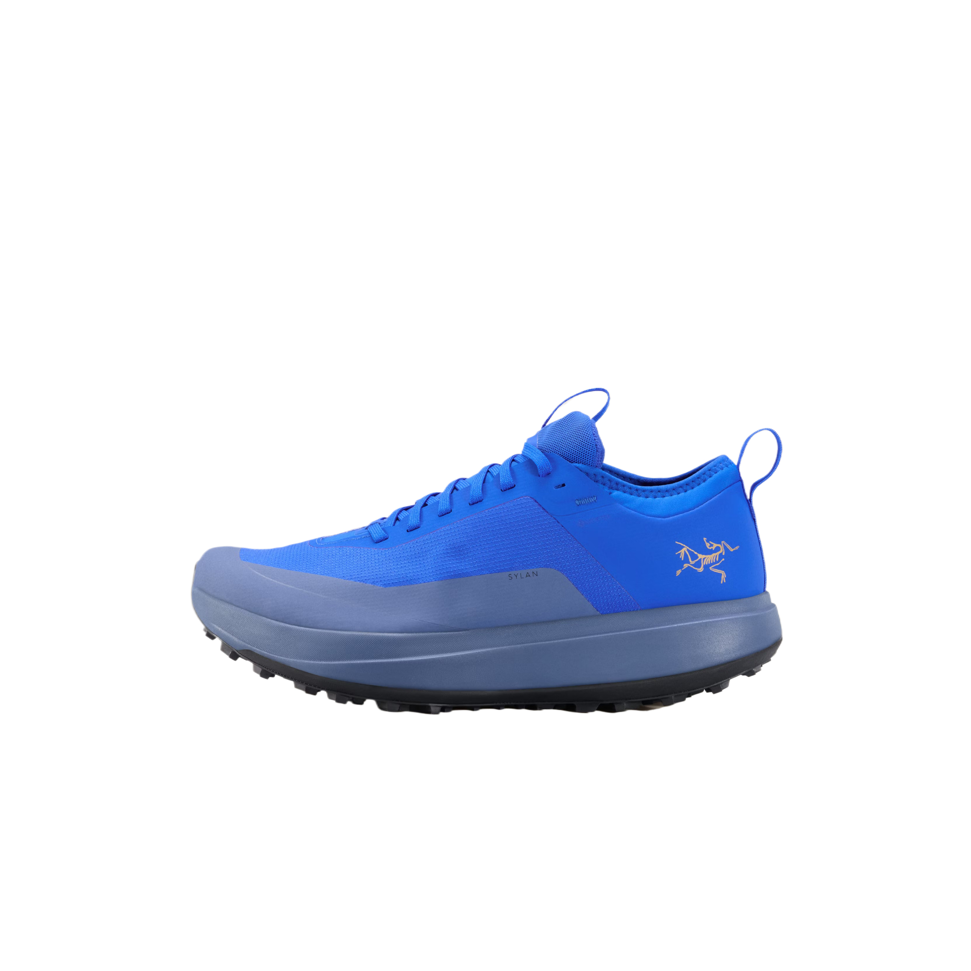 Мужские ботинки Arcteryx SYLAN GTX (темно-синие)