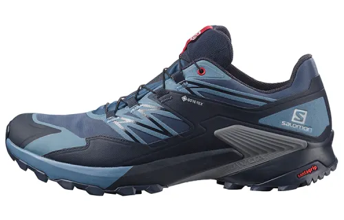 SALOMON Wings Sky Gtx / L00