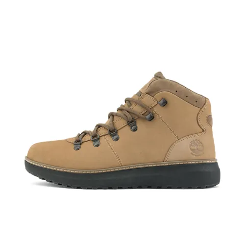 Timberland Hudson Road Mountaineering & Hiking Shoes Men's Medium Beige