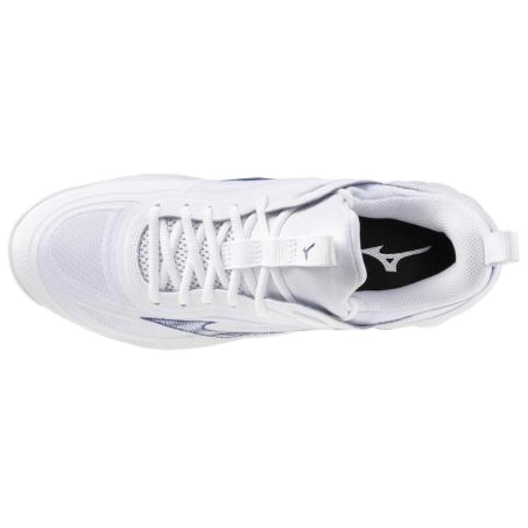 Wave Luminous Mizuno 3 ‘White Bellwether Blue’