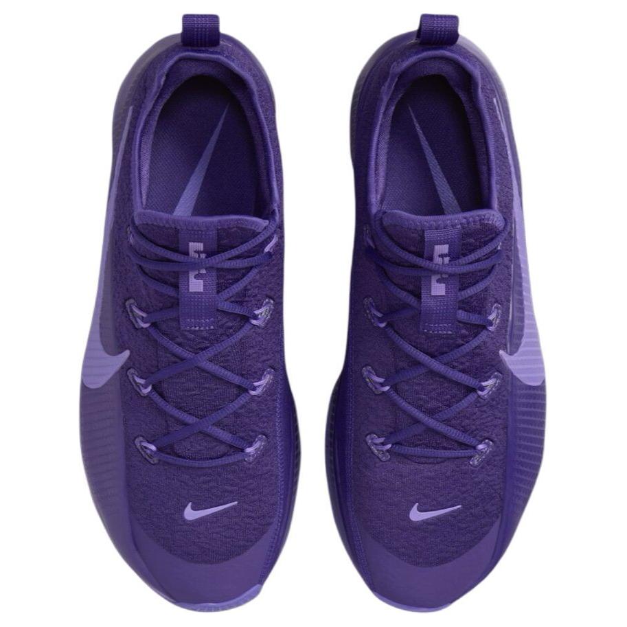 Nike LeBron TR1 «Purple Rain»