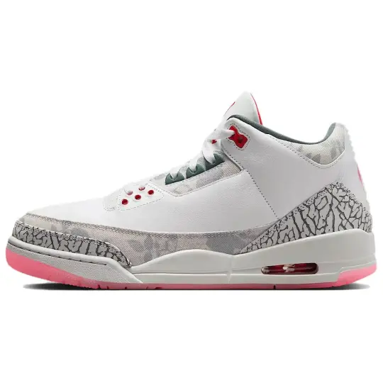 Jordan 3 Retro Wings