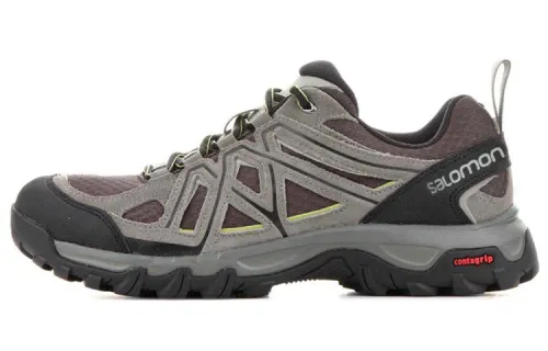 SALOMON Evasion 2 Aero 'Grey Coffee' / L00