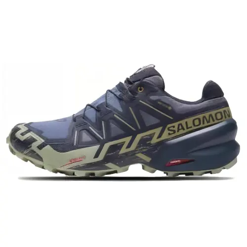 Speedcross 6 Salomon GORE-TEX 'Grisaille Tea'