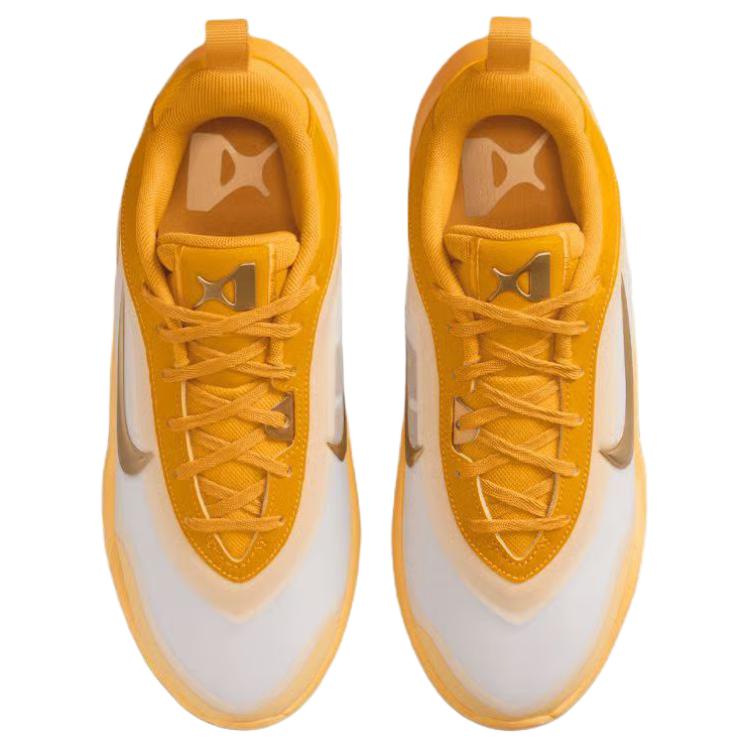 Nike A’One Abrasion Resistant Abrasion Resistant Low top Basketball Shoes Women’s Metal Gold