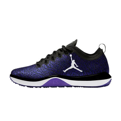 Jordan Trainer 1 Low Concord