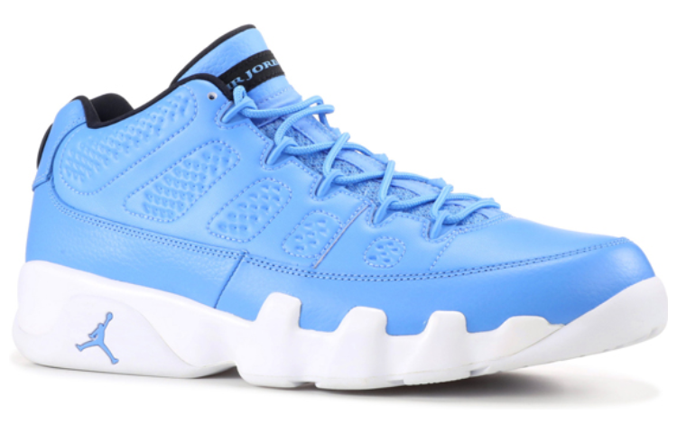Jordan Air Jordan 9 Retro Low «Pantone» Sneakers GS
