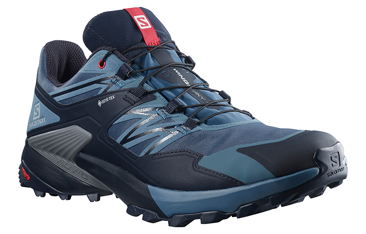 SALOMON Wings Sky Gtx / L00