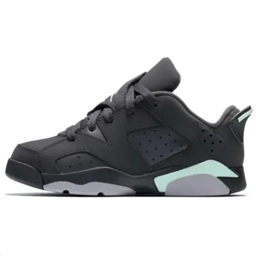 JORDAN 6 Retro Low Anthracite Mint Foam PS