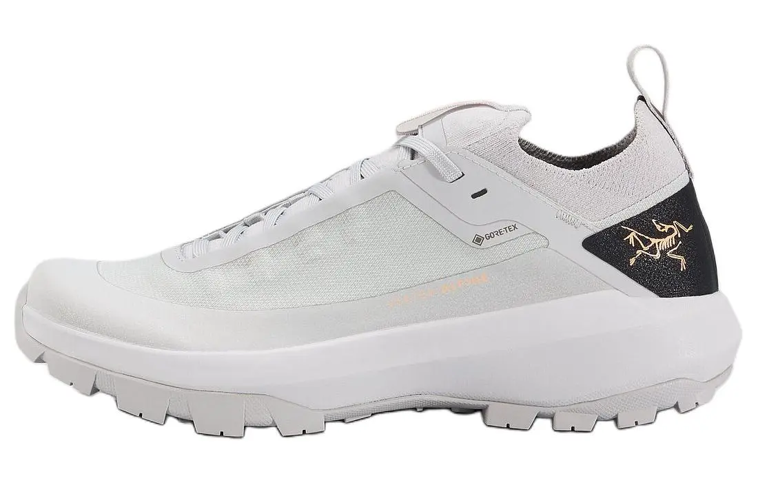 Arc'teryx VERTEX Low top Hiking Shoes Women's Gray
